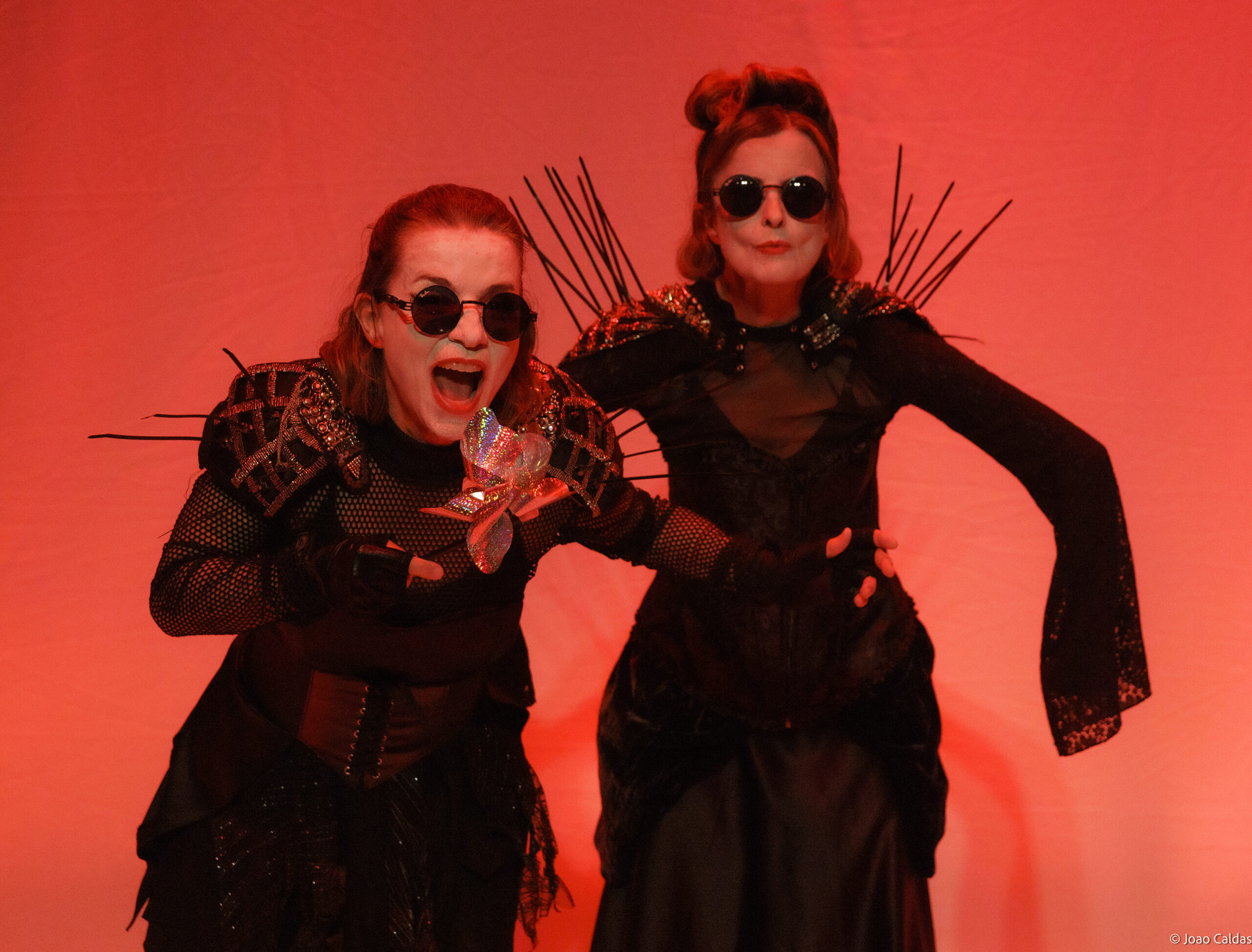 Clara Carvalho e Vera Zimmermann interpretam a essência da poeta polonesa Wislawa Szymborska