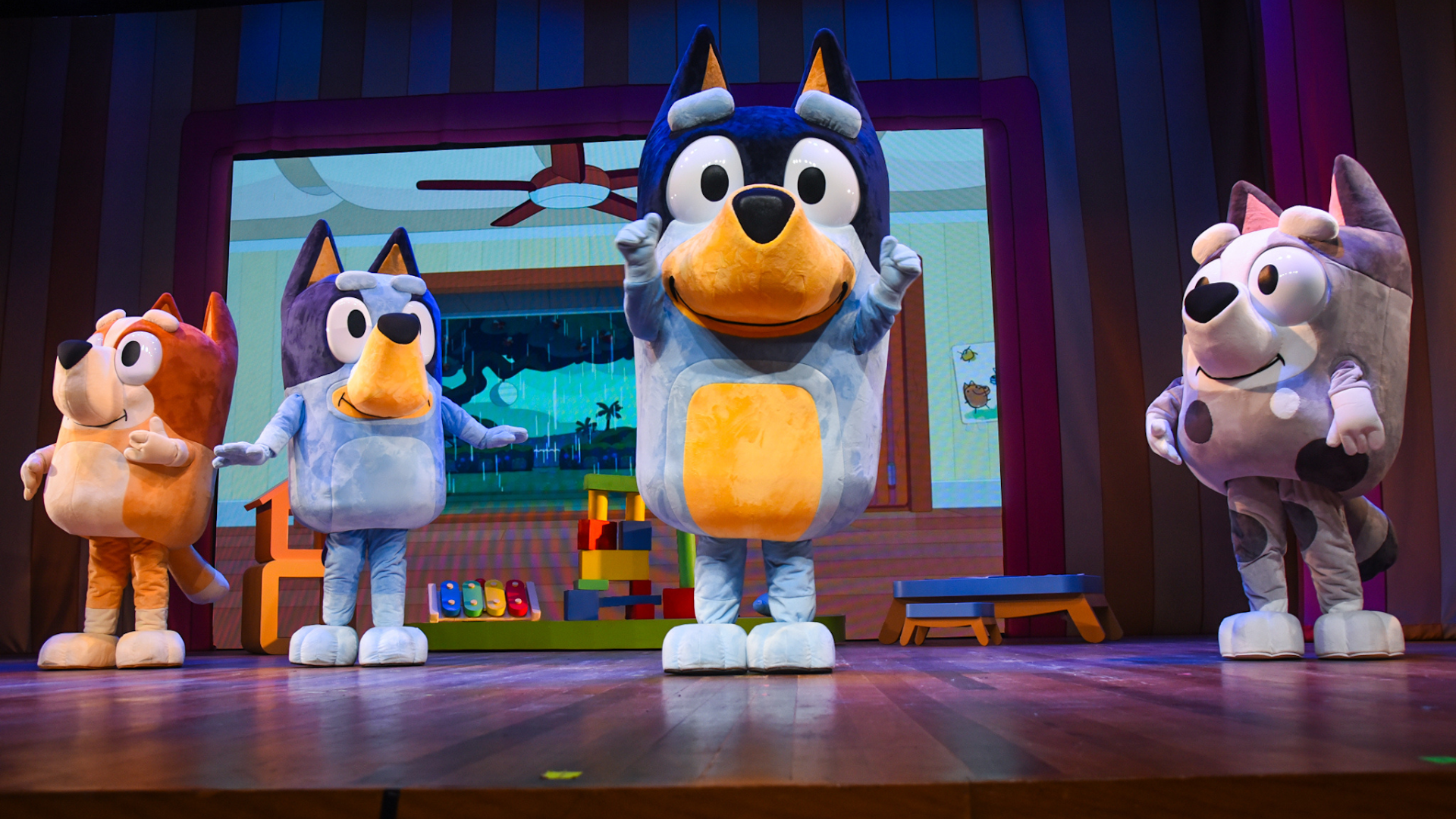 BLUEY AO VIVO – DIVERSÃO EM FAMÍLIA!